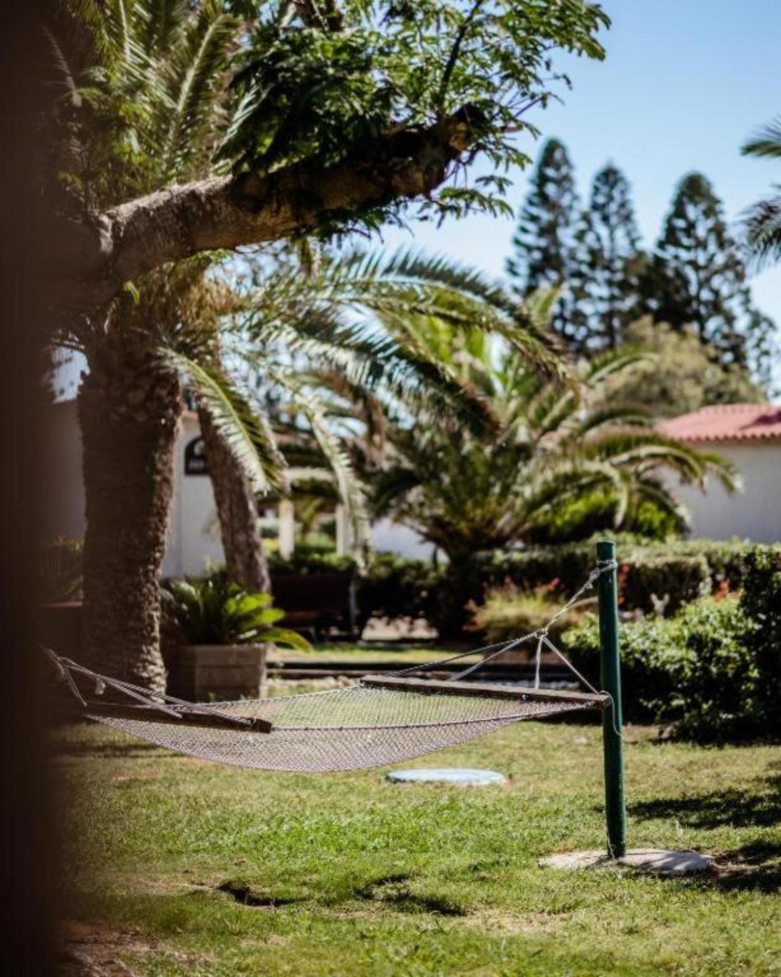 Nachsholim Kibbutz Country Lodging Nahsholim Buitenkant foto